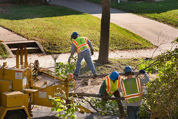 Professional Tree Services in Eagle Crest, OR