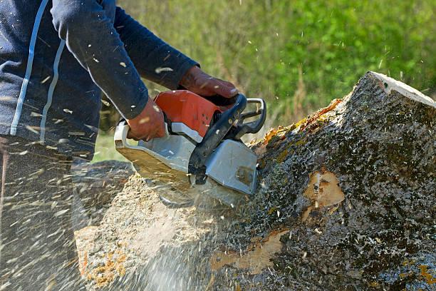 Best Hedge Trimming  in Eagle Crest, OR